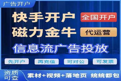 百度竞价排名案例解析：如何快速提升网站流量